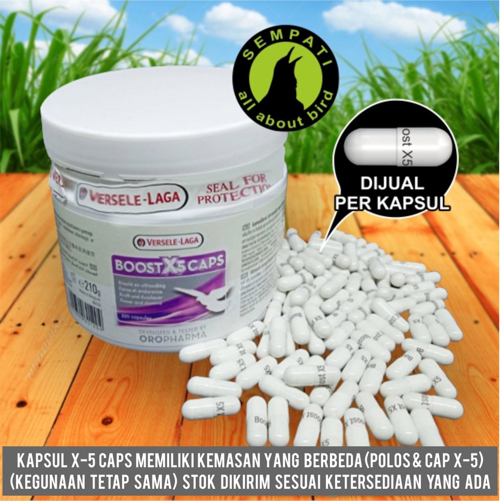 Boost X5 Caps Versele-Laga – Vitamin Merpati Balap (per kapsul)