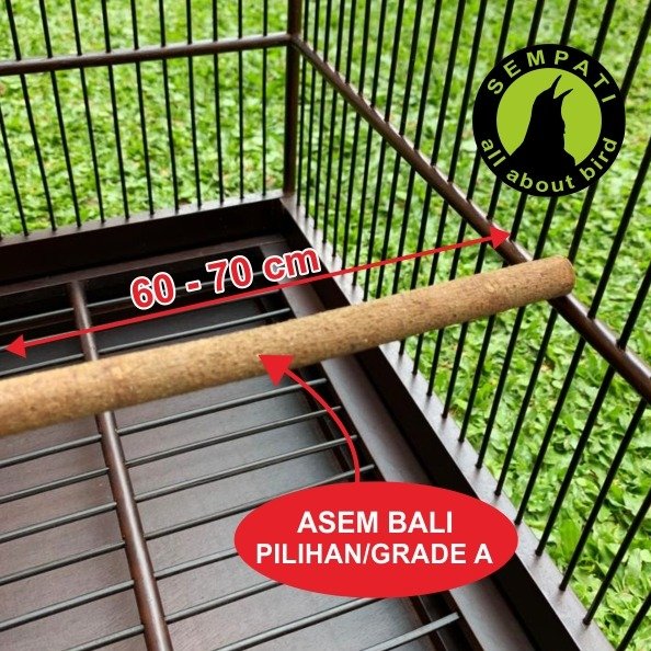 Tangkringan Kayu Asem Bali Panjang 60–70 cm – Grade A