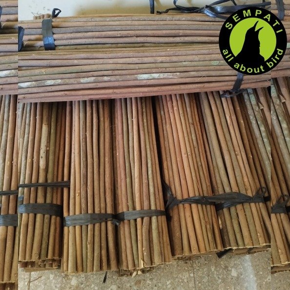 Tangkringan Kayu Asem Bali Panjang 60–70 cm – Grade A - Gambar 2