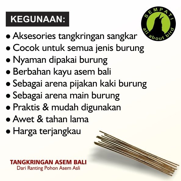 Tangkringan Kayu Asem Bali Panjang 60–70 cm – Grade A - Gambar 4