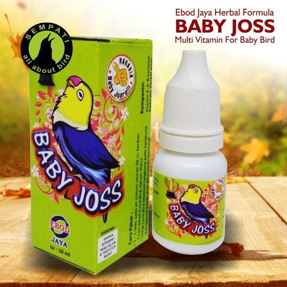 Baby Joss Ebod Jaya – Vitamin Anakan Lovebird