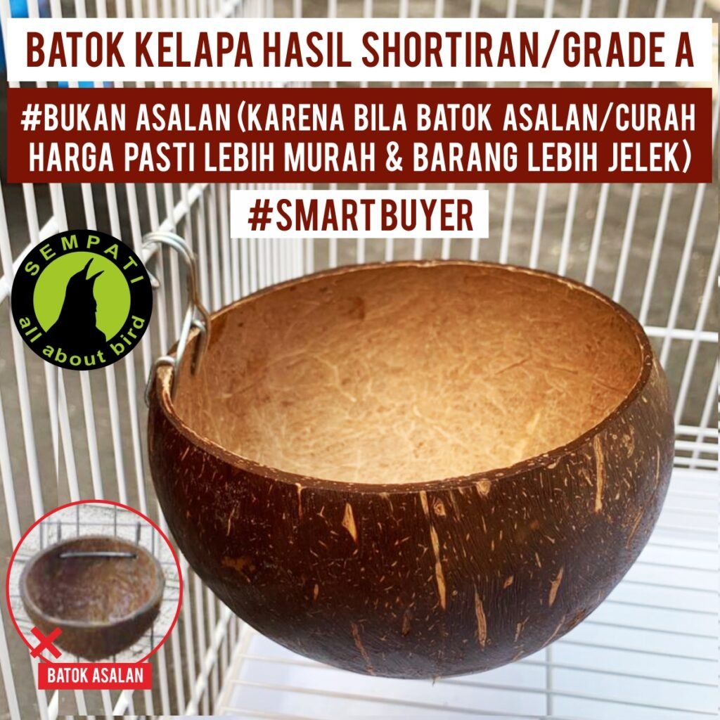 Batok Kelapa – Tempat Pakan, Minum & Sarang