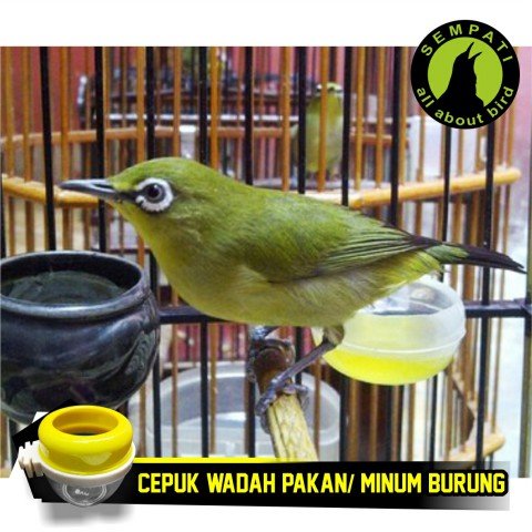 Cepuk Pakan/Minum Plastik Mas - Gambar 3