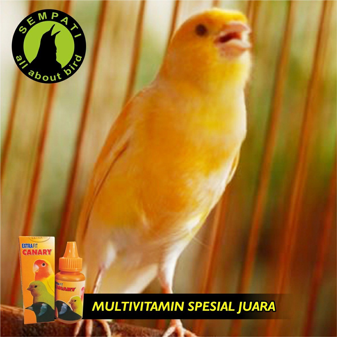 Extra Fit Canary 25 ml – Vitamin Gacor & Stamina - Gambar 4