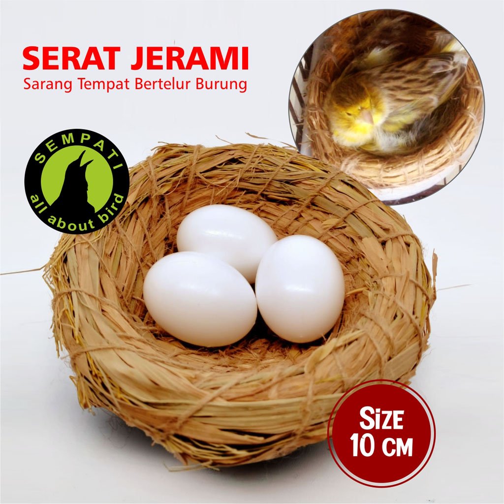 Sarang Jerami (Tarangan) Kecil – Kenari, Finch, Anis