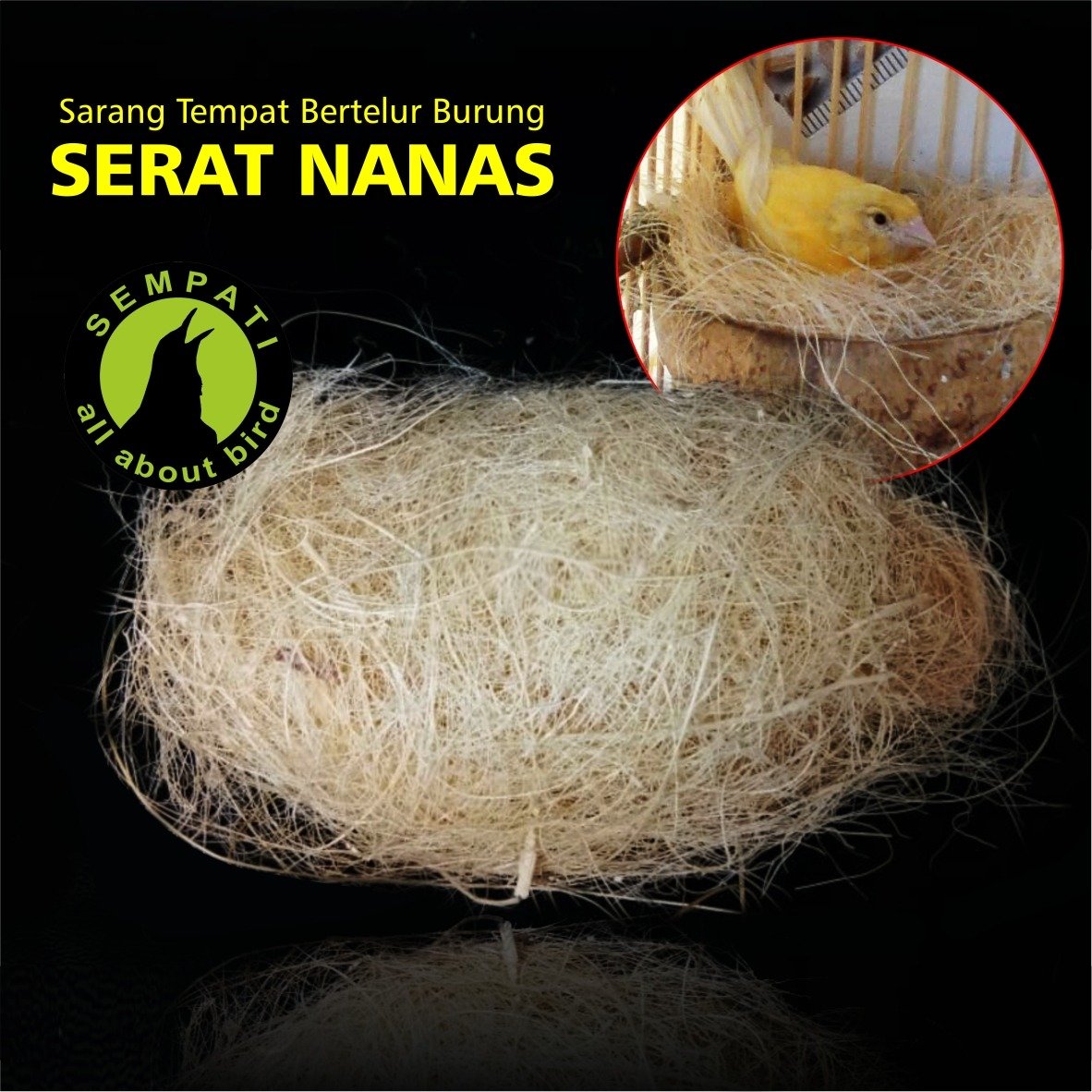 Serat Nanas Aurora Wijaya – Bahan Sarang Burung - Gambar 2