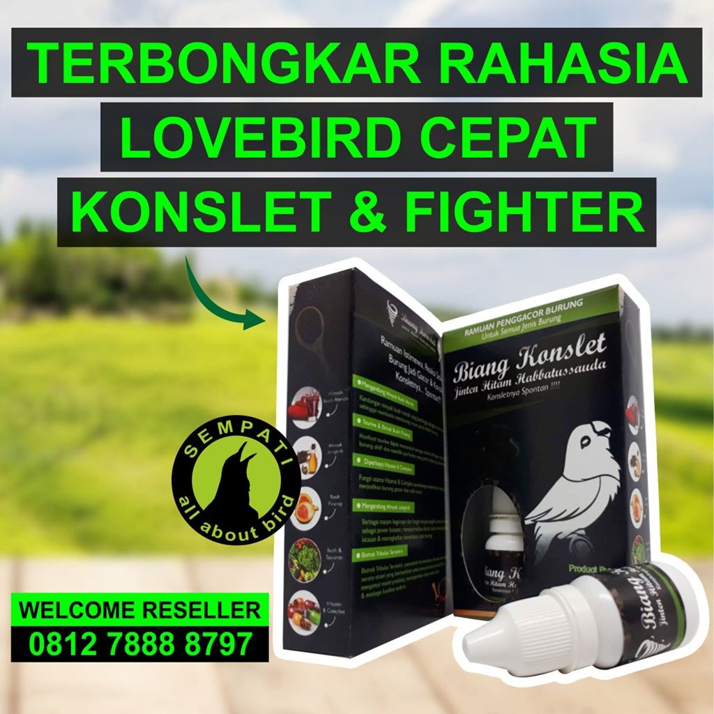 Biang Konslet Sempati 8 ml – Jinten Hitam, Ramuan Gacor