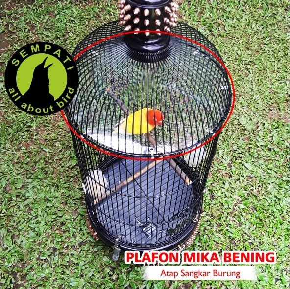 Jebakan Atap Sangkar Lovebird Akrilik Jala