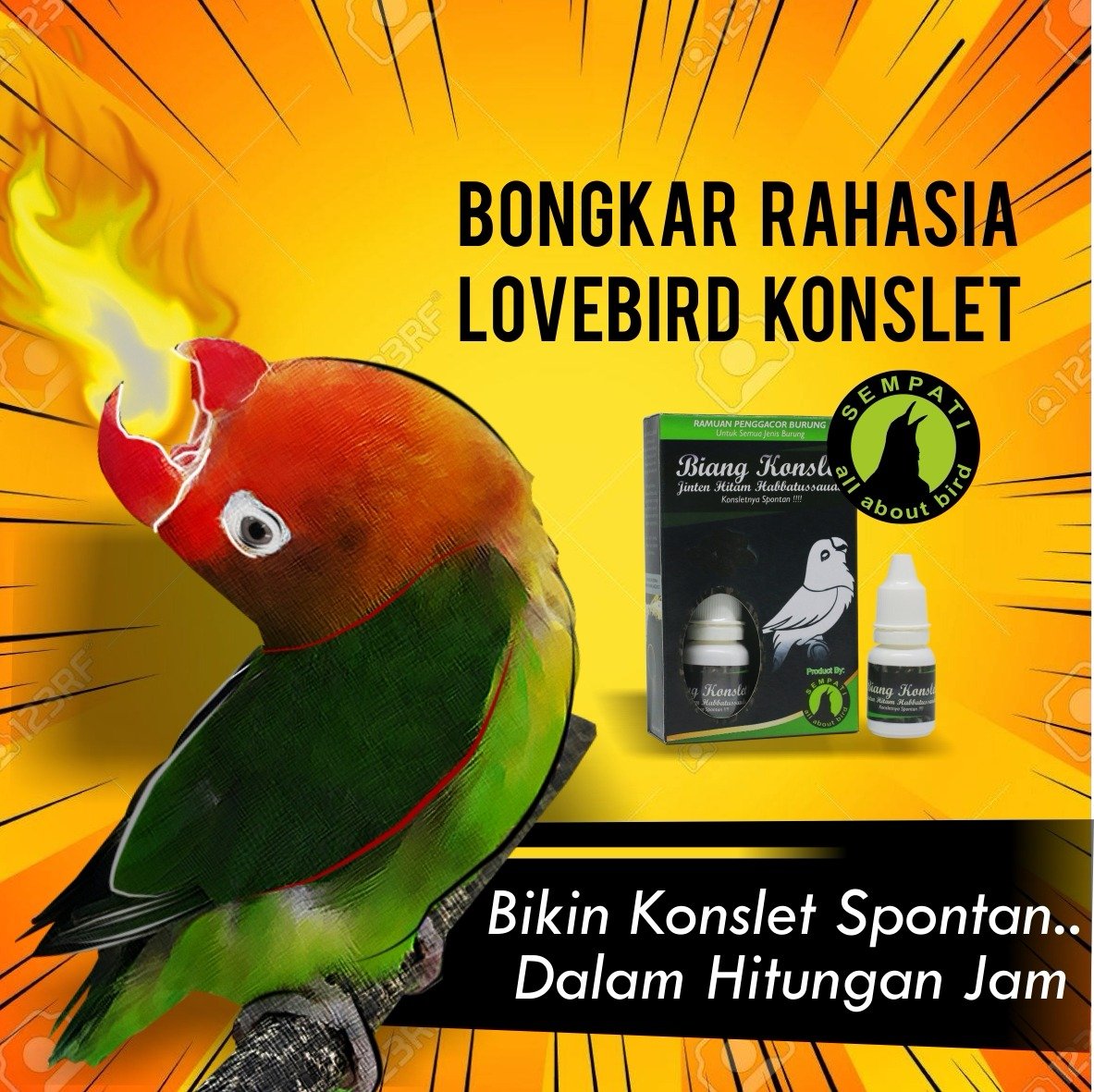 Biang Konslet Sempati 8 ml – Jinten Hitam, Ramuan Gacor - Gambar 2